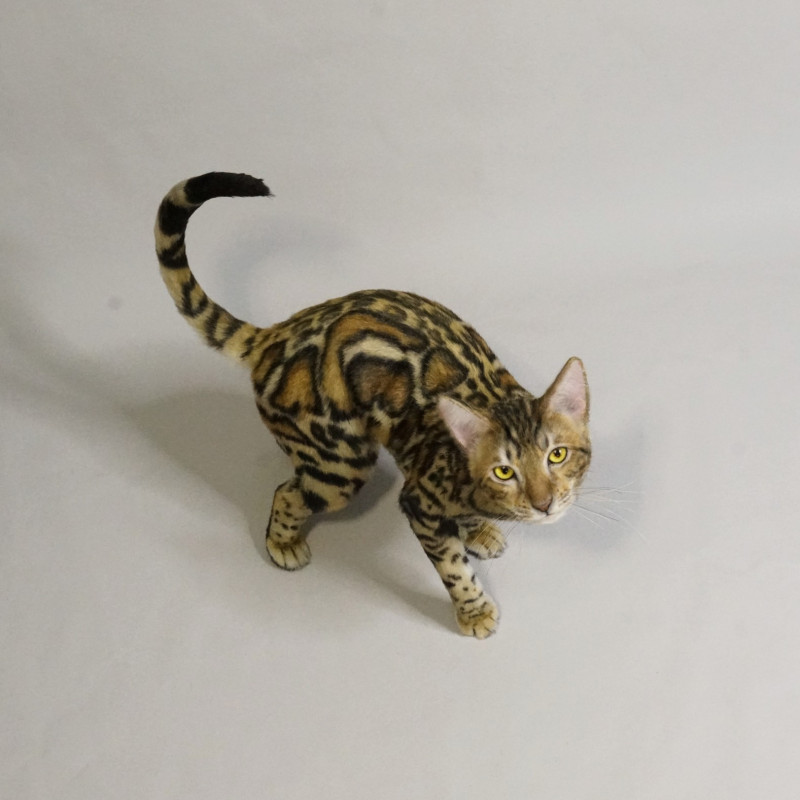 Realistic Cat Movie Prop