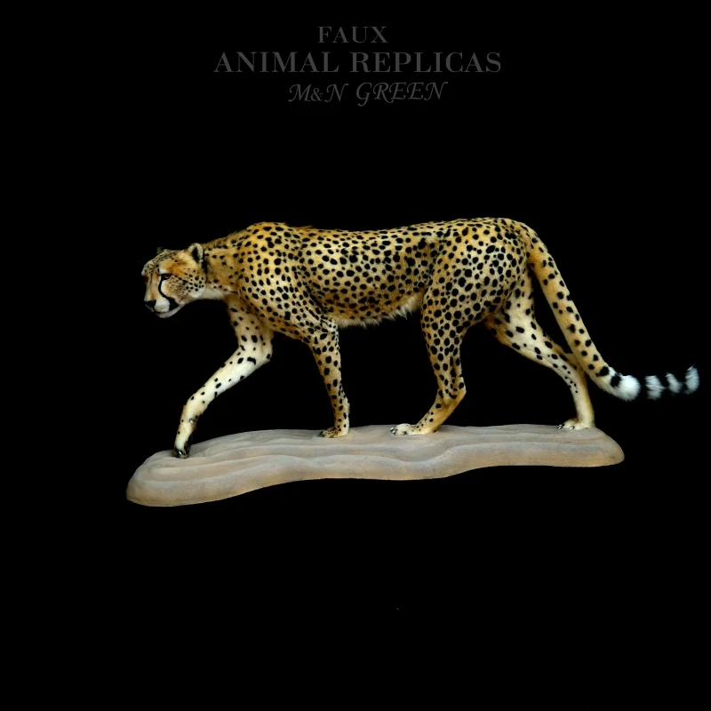 Cheetah on a Pedestal