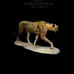 Cheetah on a Pedestal