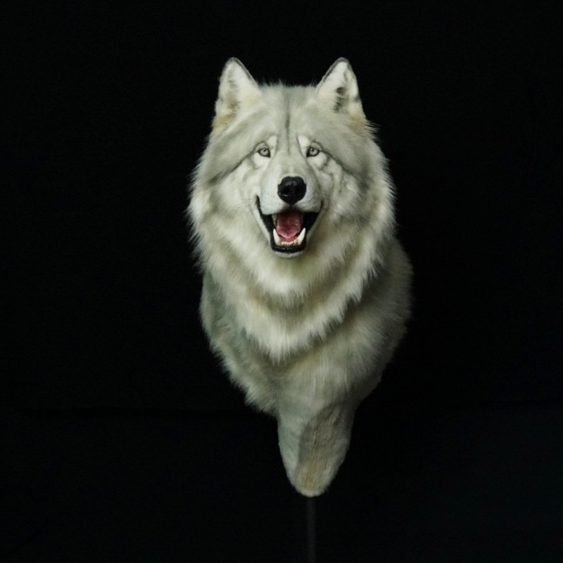 Direwolf Head on a Pedestal