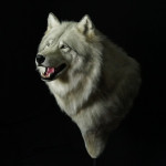 Direwolf Head on a Pedestal