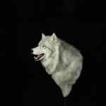 Direwolf Head on a Pedestal