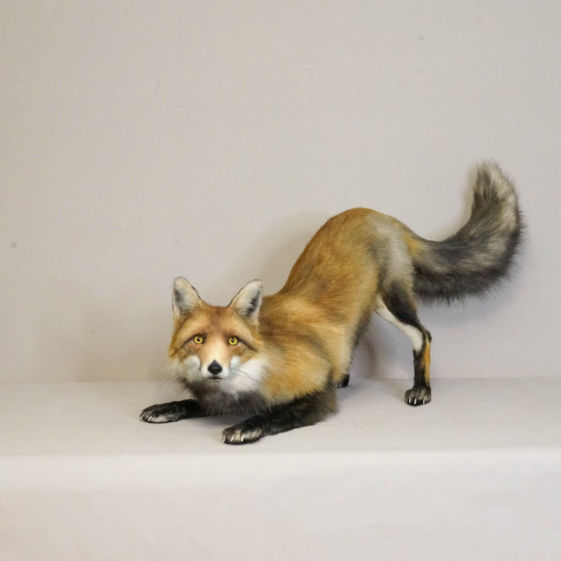 Realistic Fox Movie Prop