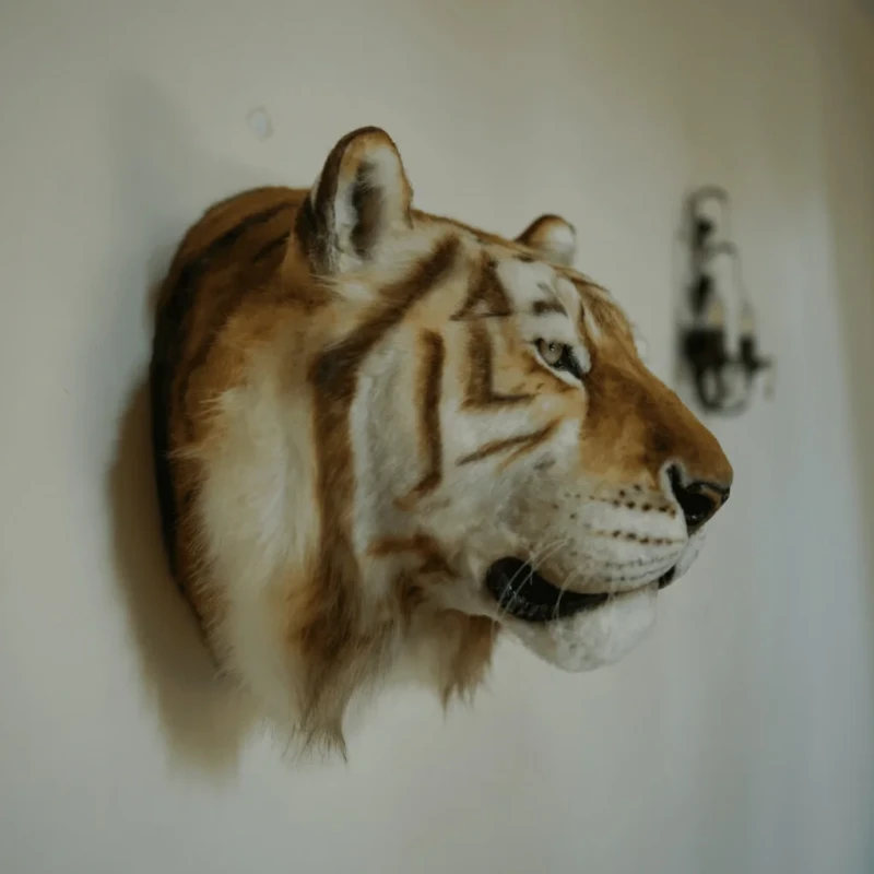 Support mural tête de tigre doré
