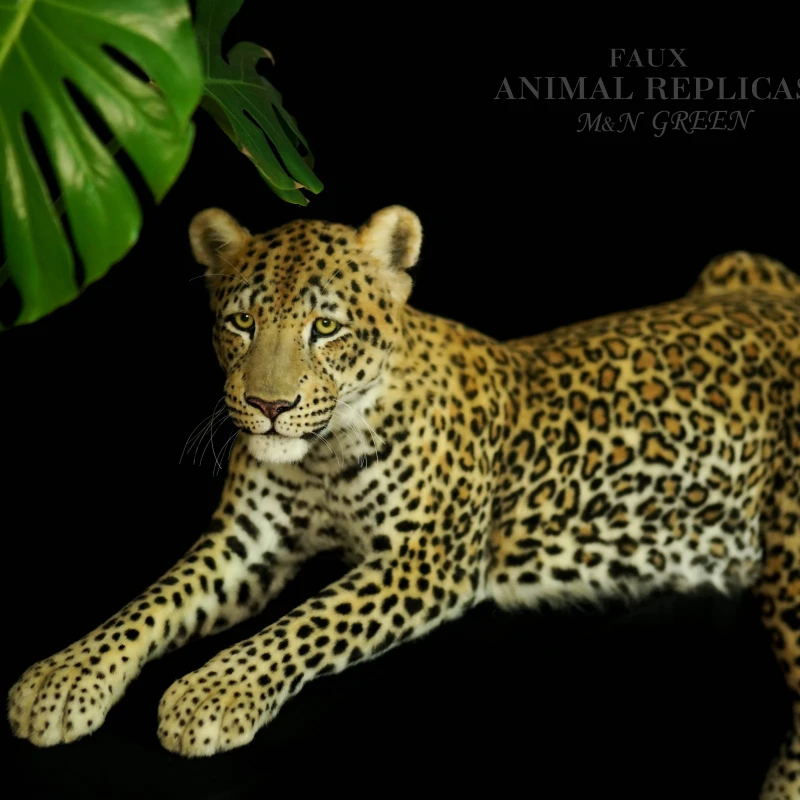 Reproduction Lying Leopard Live Size