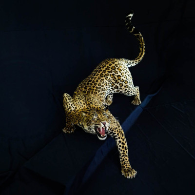 Faux Fur Leopard Life-Size Replica