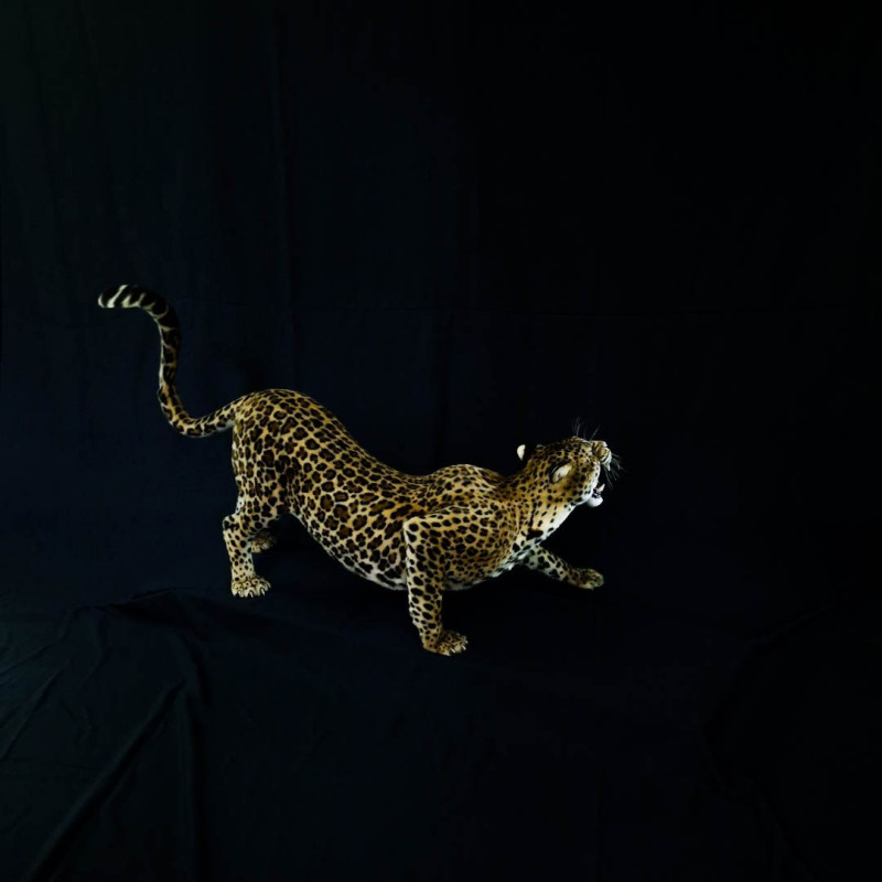 Faux Fur Leopard Life-Size Replica