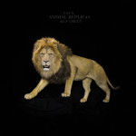 Life-Size Lion Replica