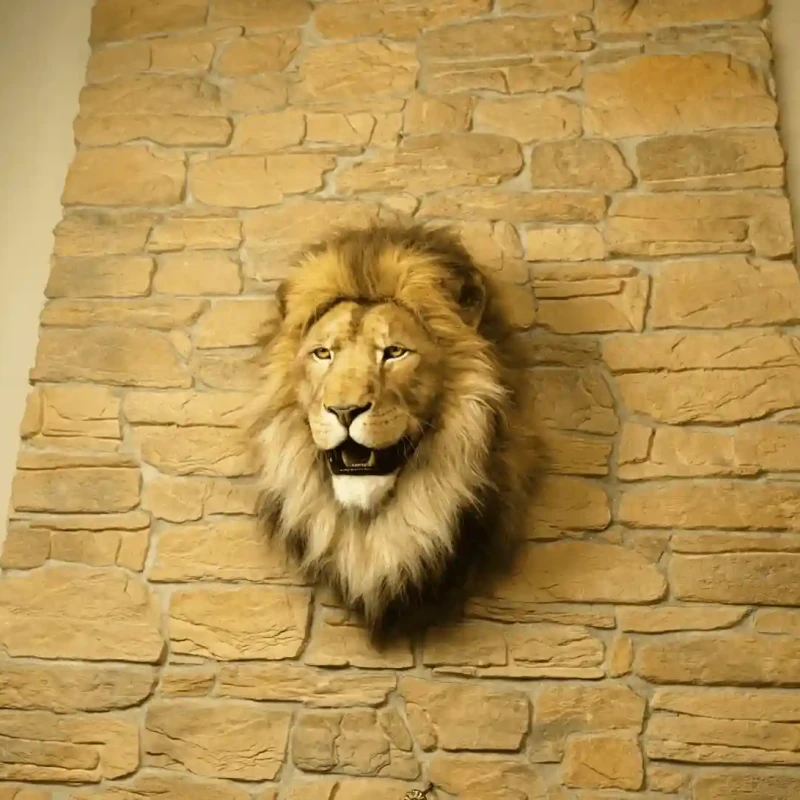 Faux Lion Head Wall Mount