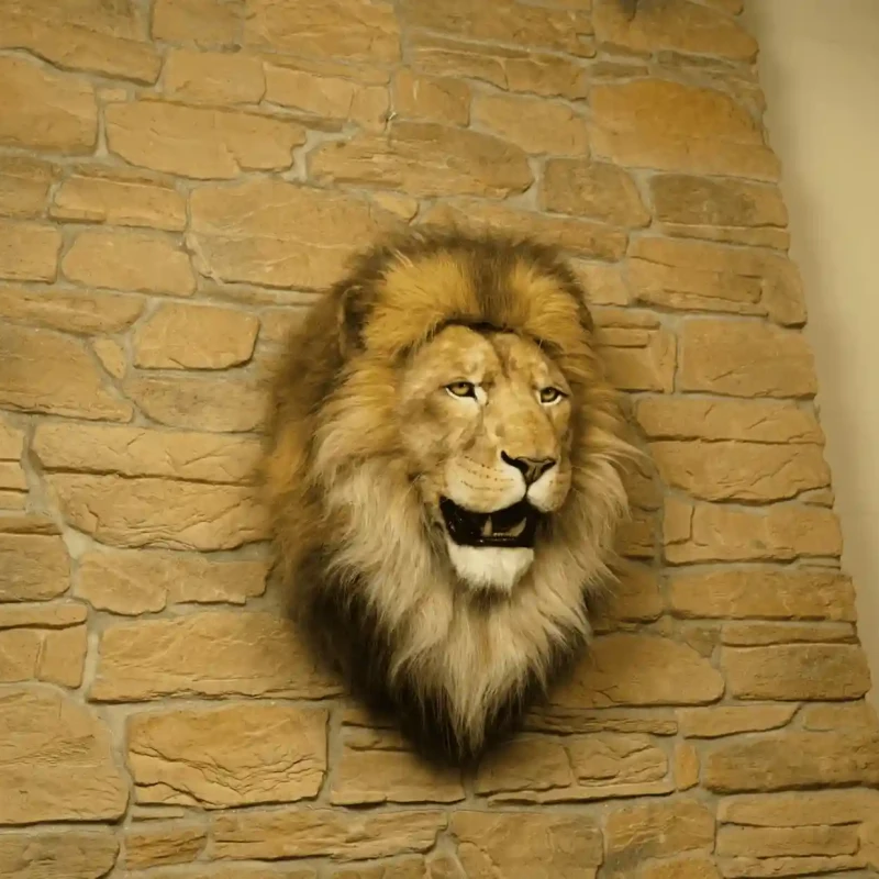 Support mural tête de lion